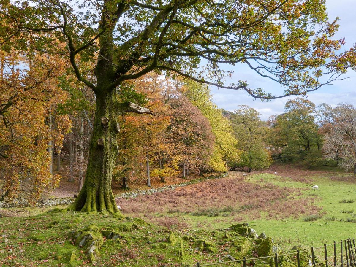 Hazel - Woodland Cottages Bowness-on-Windermere Exteriör bild
